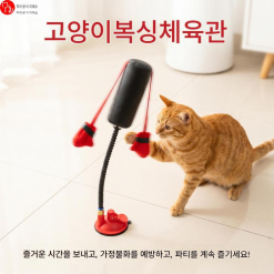 고양이 스프링 펀치 장난감